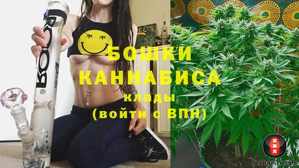ECSTASY Магас