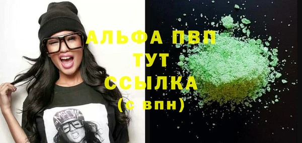 ECSTASY Магас