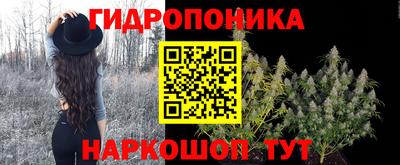 марки nbome Гусев