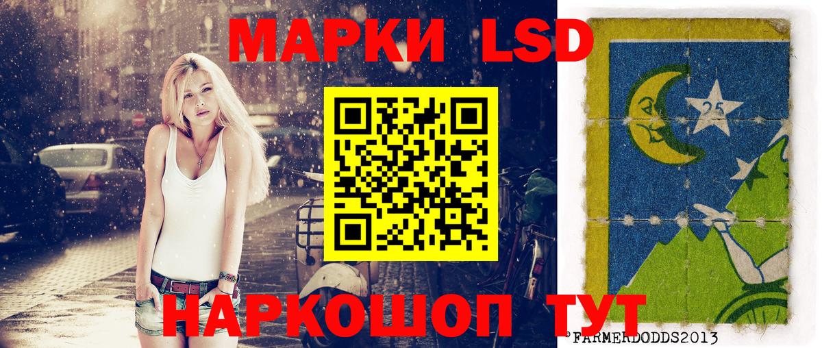 где можно купить наркотик  Вход с VPN  Новоалександровск  Марки NBOMe 1,5мг 