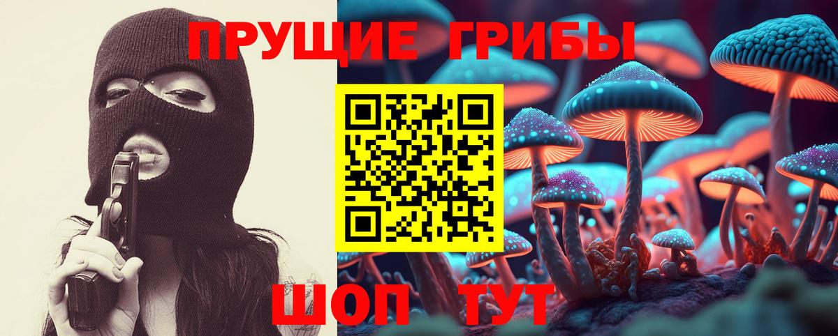 Новоалександровск  Псилоцибиновые грибы мухоморы  Вход с VPN 
