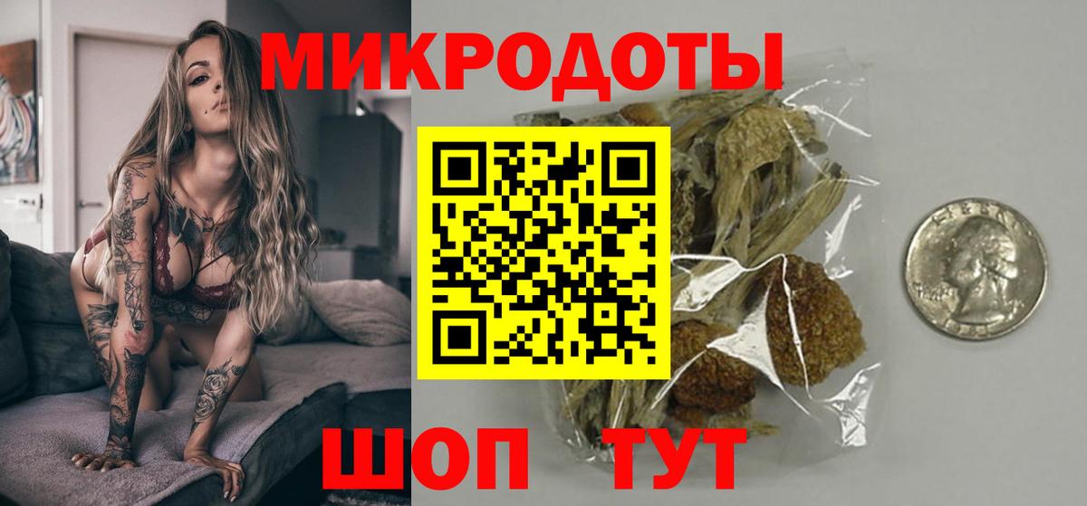 Галлюциногенные грибы MAGIC MUSHROOMS  купить наркоту  Новоалександровск 