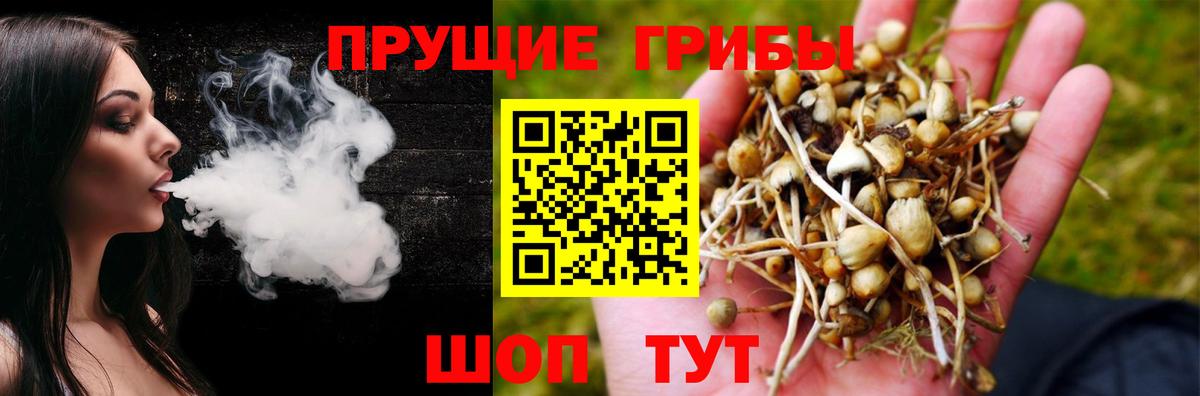 Галлюциногенные грибы Cubensis Новоалександровск